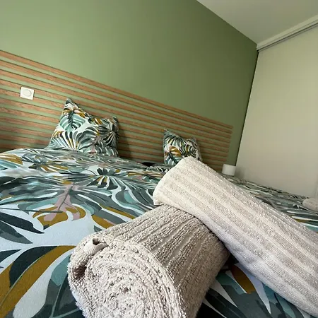 Neuve Piscine Bali Vue Pyrénées 5 Min Cité Villa *